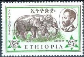 African Elephant (Loxodonta africana)