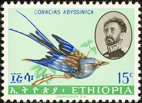 Abyssinian Roller (Coracias abyssinicus)