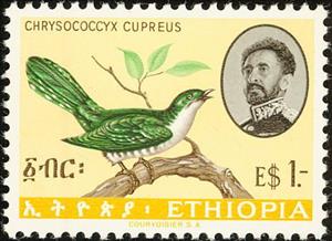 Stamp, Diederik Cuckoo (Chrysococcyx caprius), Ethiopia,  , Birds, Emperors, Animals (Fauna)