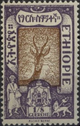 Gerenuk (Lithocranius walleri) 