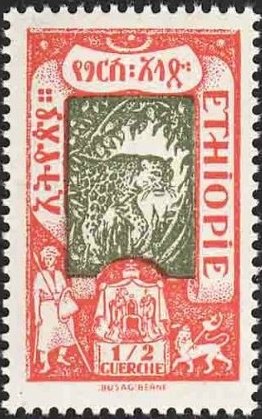 Leopard (Panthera pardus)