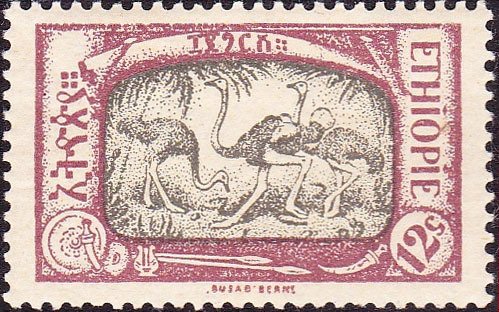 Ostrich (Struthio camelus)