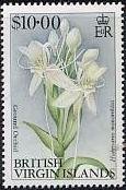 Ground orchid (Habenaria monorrhiza)