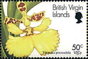 Stamp, Tolumnia prionochila, British Virgin Islands,  , Flowers, Orchids, Plants (Flora)