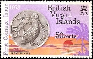 Brown Pelicans