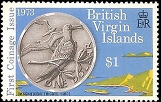 Frigate Birds