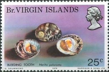 Stamp, Bleeding Tooth Nerite (Nerita peloronta) , British Virgin Islands,  , Sea Life, Shells, Animals (Fauna)