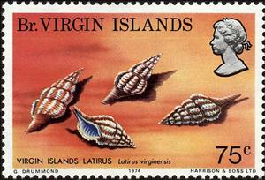 Stamp, Virgin Island Latirus (Latirus virginensis) , British Virgin Islands,  , Sea Life, Shells, Animals (Fauna)