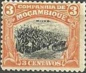 Zea mays