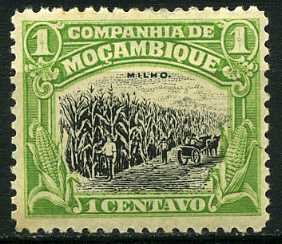 Zea mays