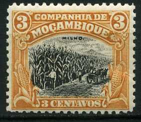 Zea mays