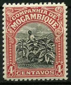 Tobacco plantation