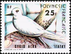 Stamp, White Tern (Gygis alba), French Polynesia,  , Birds, Animals (Fauna)