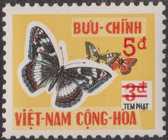 Admiral Butterfly (Limenitis annamitiensis)