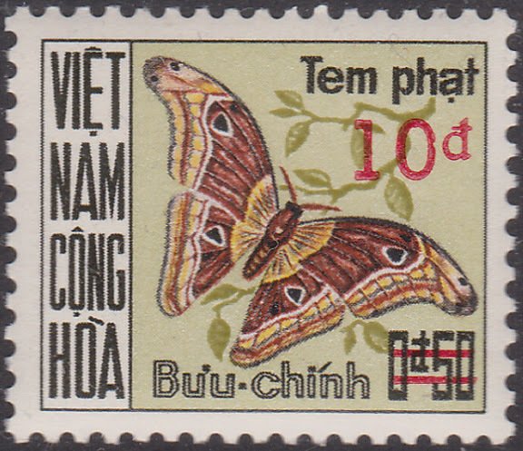 Atlas Moth (Attacus atlas)