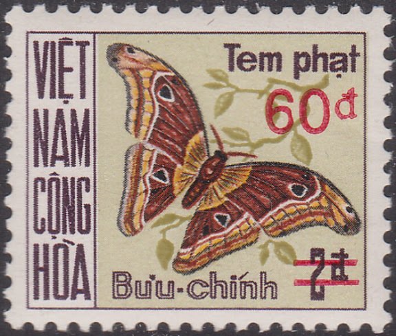 Atlas Moth (Attacus atlas)
