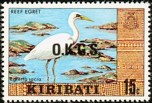 Pacific Reef Heron (Egretta sacra)