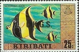 Moorish Idol (Zanclus cornutus)