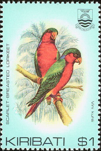 Kuhl's Lorikeet (Vini kuhlii)