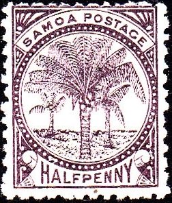 Palm Trees