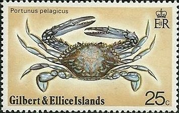 Flower Crab (Portunus pelagicus)