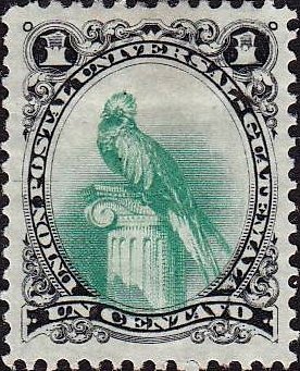 Quetzal (Pharomachrus mocinno)