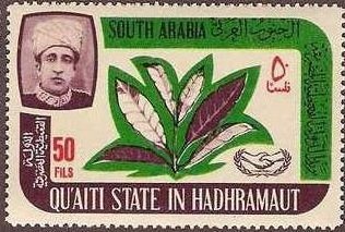 Tobacco plant