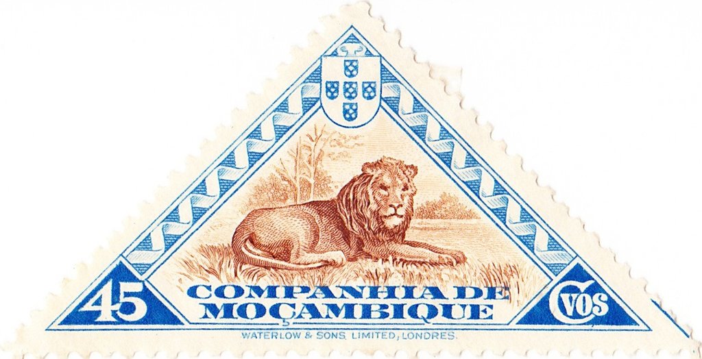 Lion (Panthera leo)