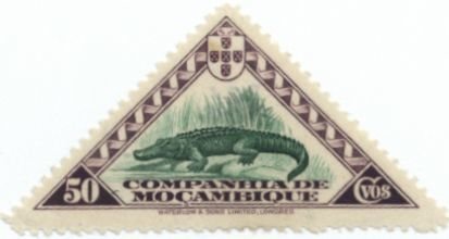 Nile Crocodile (Crocodylus niloticus)