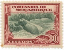 Hippopotamus (Hippopotamus amphibius)
