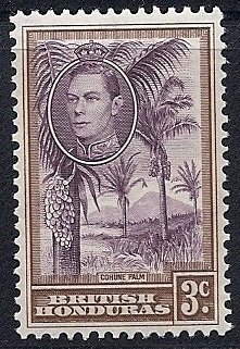 Stamp, Cohune Palm, British Honduras,  