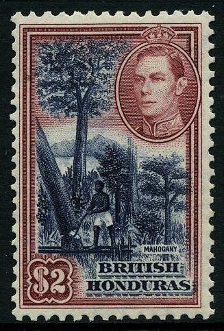 Mahogany Cutting