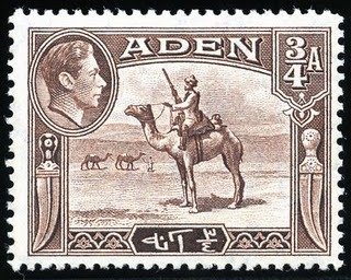 Camel Corps