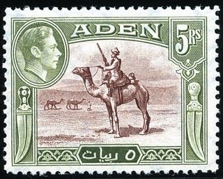 Camel Corps
