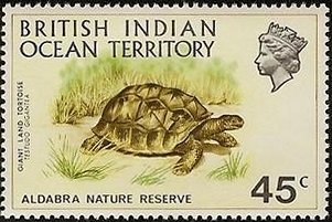 Aldabra Giant Tortoise (Aldabrachelys gigantea)