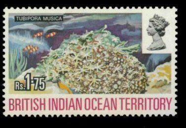 Stamp, Organ Pipe Coral (Tubipora musica), British Indian Ocean Territory,  