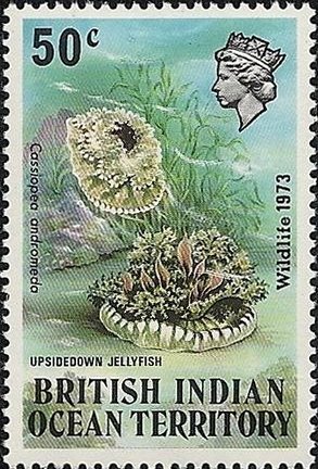 Stamp, Upside-down Jellyfish (Cassiopea andromeda), British Indian Ocean Territory,  