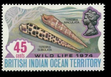 Stamp, Crenulate Auger (Terebra maculata), British Indian Ocean Territory,  , Shells
