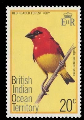 Red-headed Fody (Foudia eminentissima)