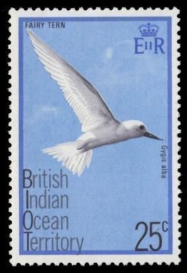 Stamp, White Tern (Gygis alba), British Indian Ocean Territory,  
