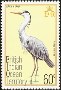 Stamp, Grey Heron (Ardea cinerea), British Indian Ocean Territory,  