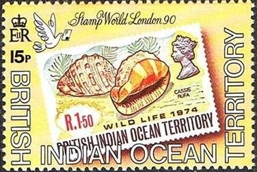 Former Issue on Stamp: Red Helmet (Cassis rufa)