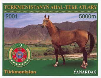 Akhal-Teke Horse (Equus ferus caballus), Coat of Arms