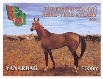 Akhal-Teke Horse (Equus ferus caballus), Flag, Coat of Arms
