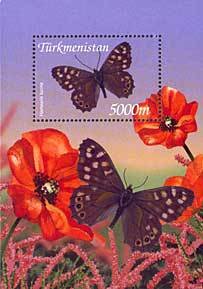 Duke of Burgundy (Hamearis lucina)