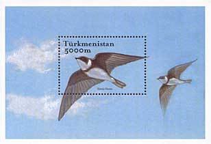 Sand Martin (Riparia riparia)