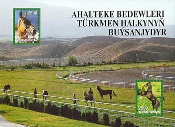 Akhal-Teke Horse (Equus ferus caballus)