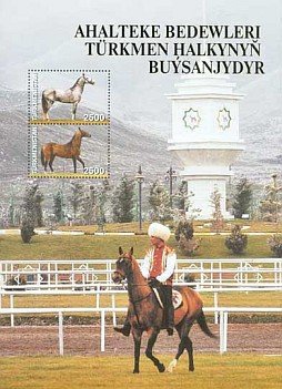 Akhal-Teke Horse (Equus ferus caballus)