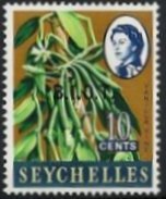 Vanilla planifolia