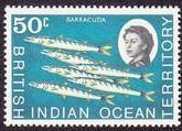 Pickhandle Barracuda (Sphyraena jello)